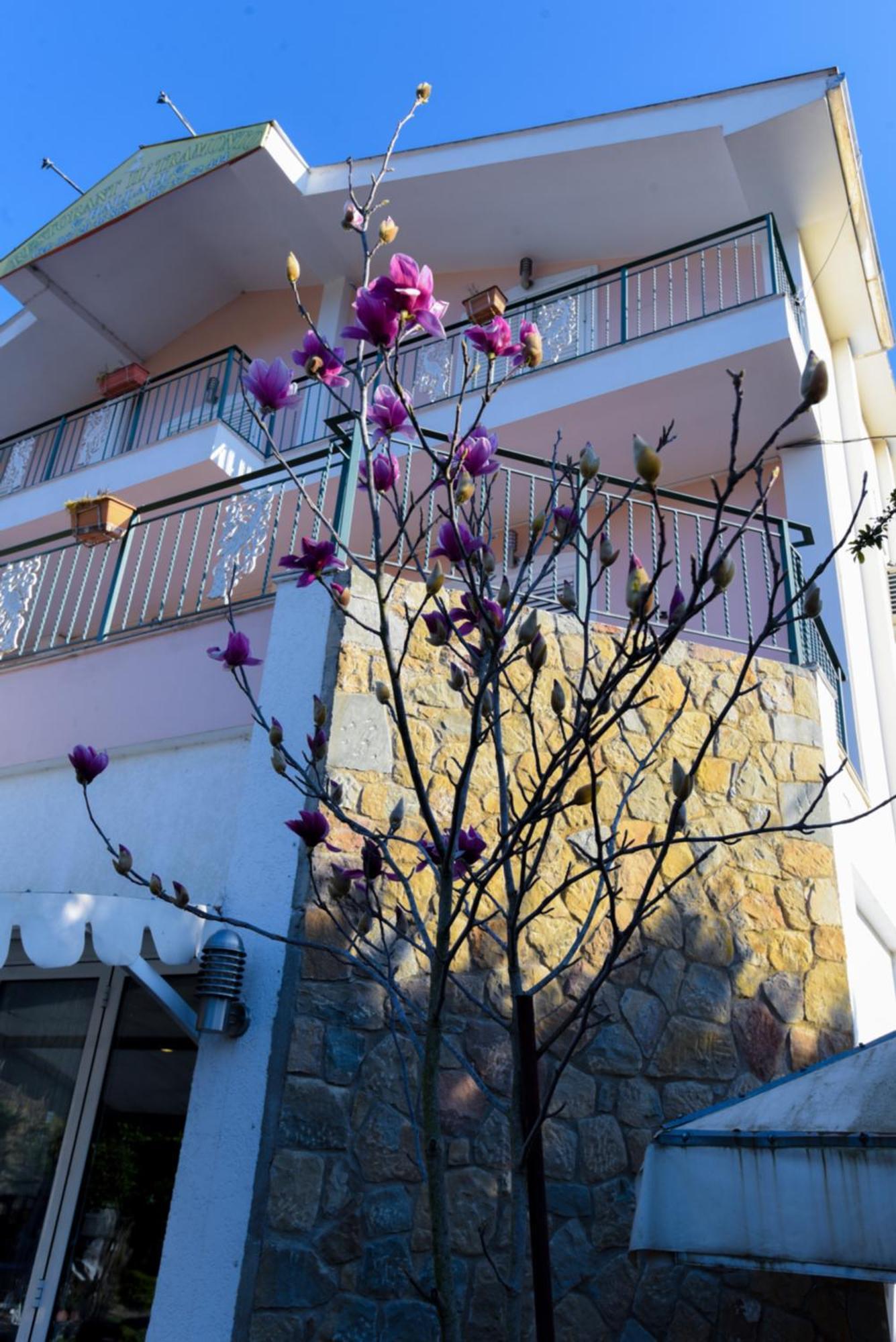 Hotel Restorant Halal Il Tramonto. Vore Exterior photo